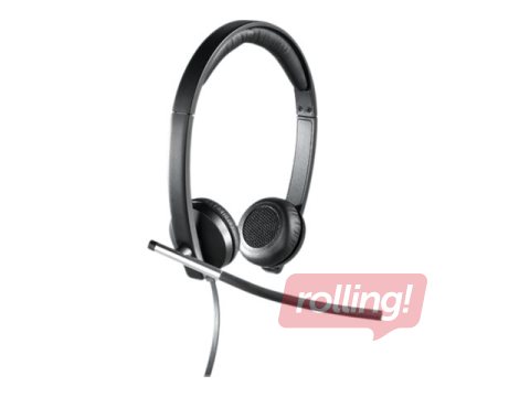 Logitech H650e Stereo Headset USB