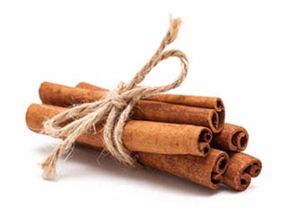 Natural floristic decors