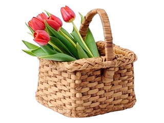 Svētku dekorācijas