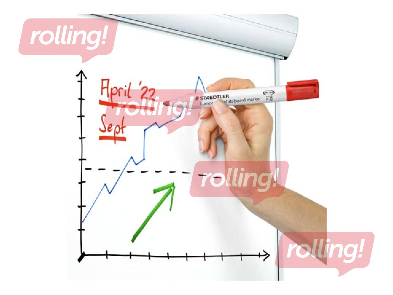 Whiteboard markers set  for white and glass boards Staedtler Lumocolor, 4 Colors