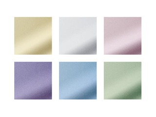 Flomāsteri Staedtler, 8323 metāliskas 6 krāsas un pigmenta flomasterpildspalva melna