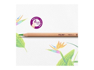 Krāsainie zīmuļi Milan, 24 krāsas, liels grafīts, 3.5mm