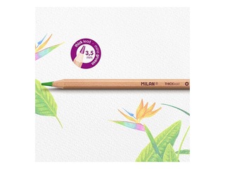 Coloured pencils Milan, in a metal box, 36 colors