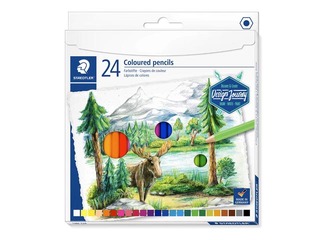 Värvipliiatsid Staedtler 146C, 24 tk.