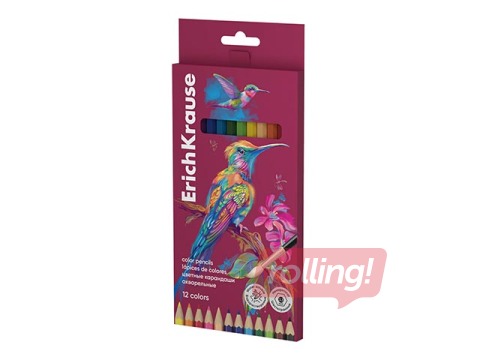 Krāsainie zīmuļi ErichKrause Safari, akvareļu, 12 krāsas ar otiņu