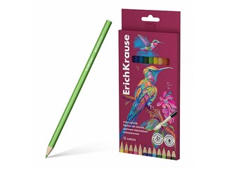 Krāsainie zīmuļi ErichKrause Safari, akvareļu, 12 krāsas ar otiņu