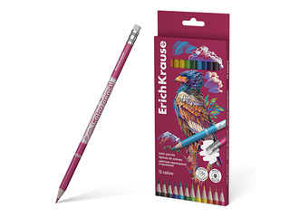 Colored pencils with eraser ErichKrause, Safari, 12 colors