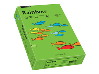 Paper Rainbow 78, A4, 160g/m2, 250 sheets, bright green