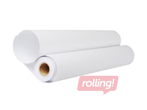 Roll paper DataCopy, 29.7cm x 175m, 80g/m²