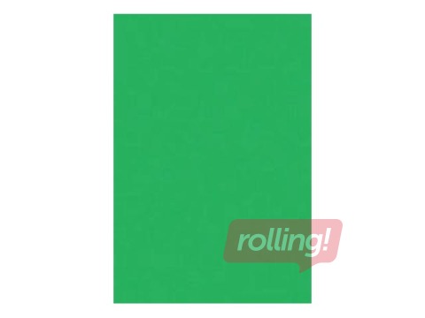 Cardboard Happy Color, double-sided, A4, 170g/m², green, 25 sheets
