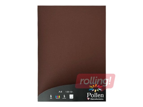 Цветная бумага Pollen, №61, A4, тёмно-коричневая, 120г/м², 50 листов
