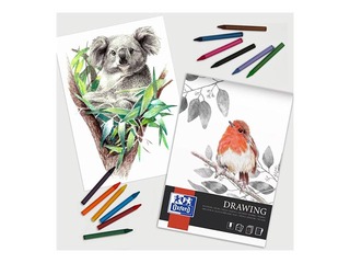 Zīmēšanas albums zīmēšanai ar krītiņiem Oxford, A4, 160g/m², 40 loksnes