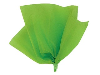 Шелковая бумага декоративная Vert Sapin 5, 18g/m², 50x75cm, 24 листов