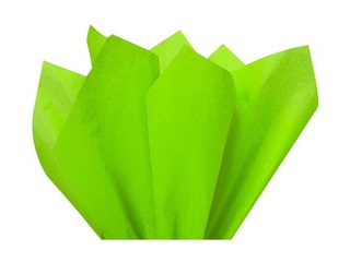 Шелковая бумага декоративная Vert pomme 0006, 18г/м², 50x75см, 24 листов