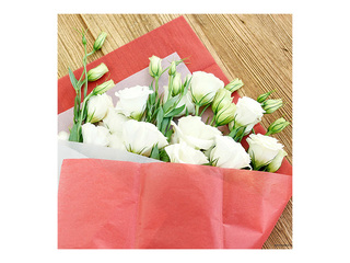 Zīdpapīrs dekoratīvais, sarkans, 15g/m², 50x65cm, 10 loksnes