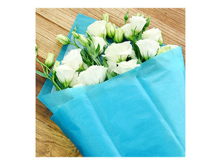 Zīdpapīrs dekoratīvais, zils, 15g/m², 50x65cm, 10 loksnes