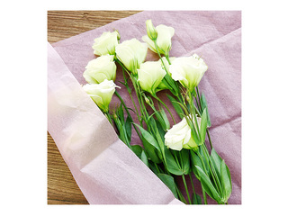 Decorative tissue paper, pink, 15g/m², 50x65cm, 10 sheets