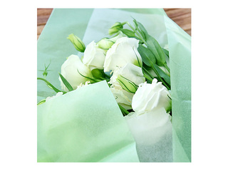 Decorative tissue paper, green, 15g/m², 50x65cm, 10 sheets