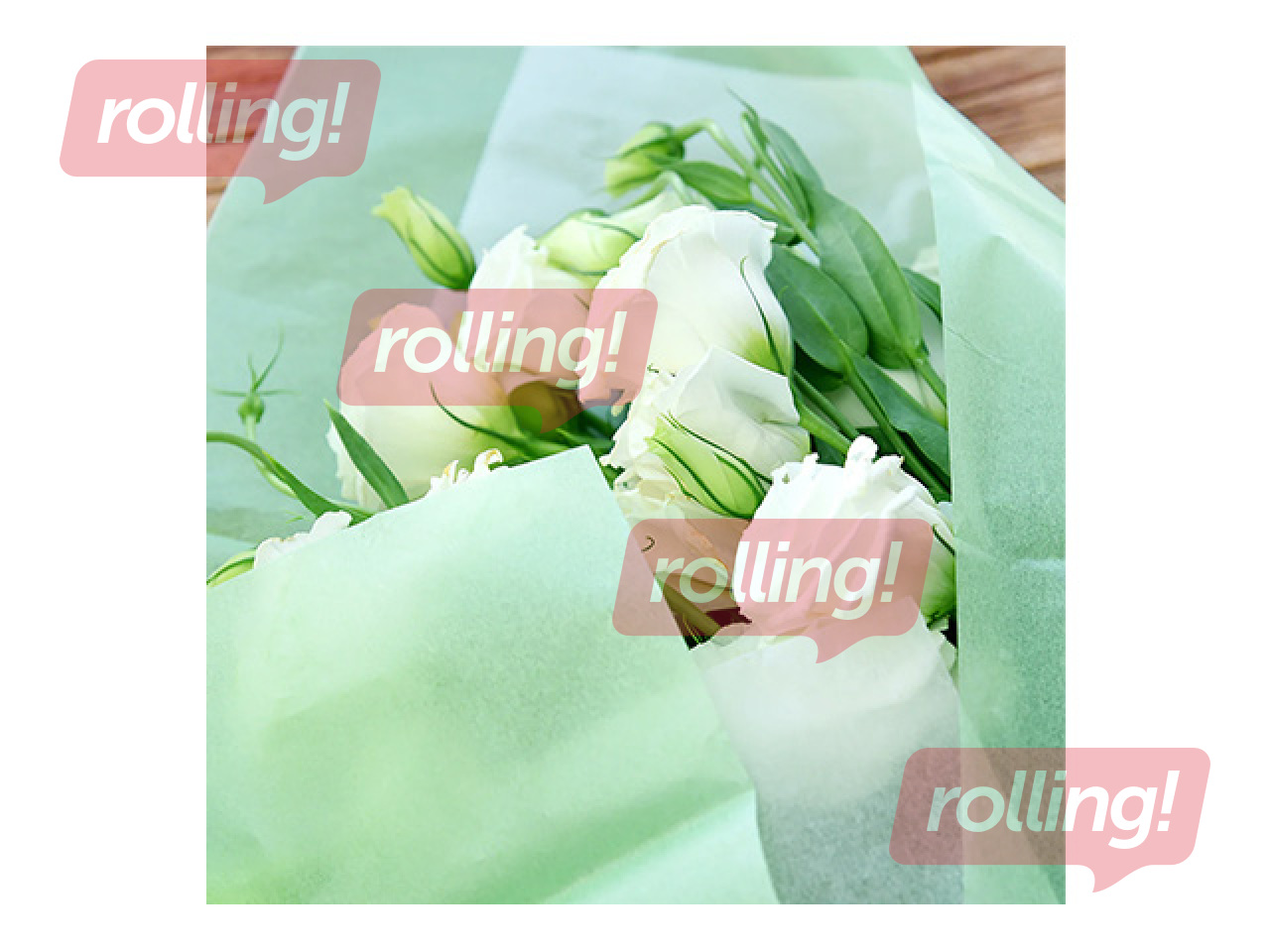 Zīdpapīrs dekoratīvais, zaļš, 15g/m², 50x65cm, 10 loksnes