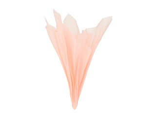 Decorative tissue paper, salmon, 15g/m², 50x65cm, 10 sheets