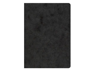 Notebook FACT!plus, A6, black, squared, 48 sheets