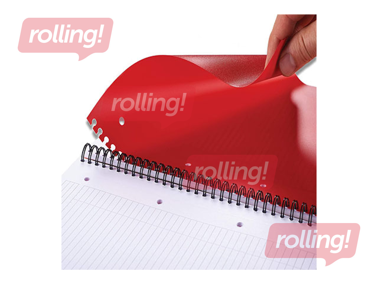 Oxford International ActiveBook, A4+, 80 squared sheets