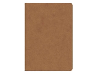 Klade FACT!plus, A5, rūtiņu, brūna, 48 lapas