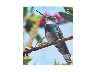 Klade ABC Note Book, A5, līniju, 48 lapas