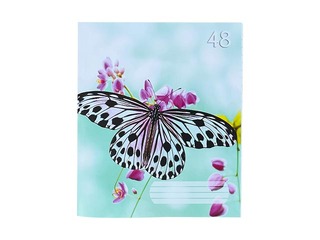 Klade ABC Note Book, A5, līniju, 48 lapas