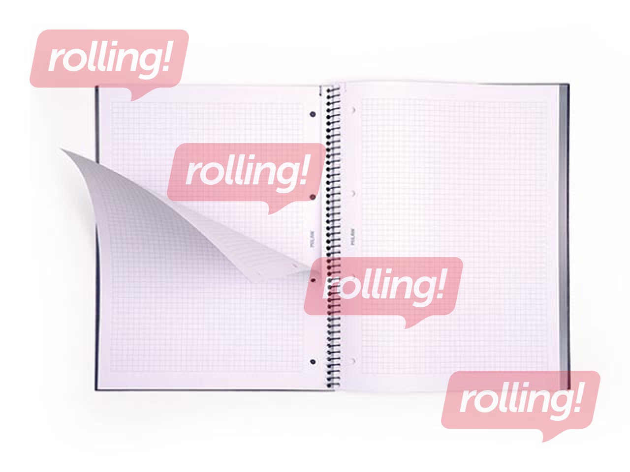 Klade ar spirāli cietos vākos Milan, A4, rūtiņu, zila, 80 lapas