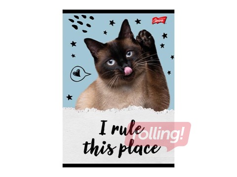 Notebook Unipap, Caturday, squared, A5, 32 sheets