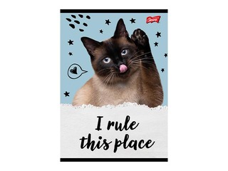 Notebook Unipap, Caturday, squared, A5, 32 sheets