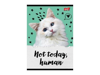 Notebook Unipap, Caturday, squared, A5, 32 sheets