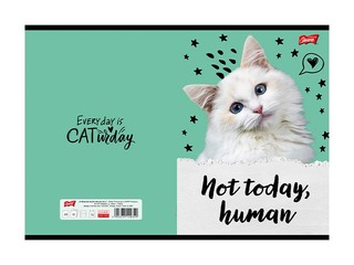 Notebook Unipap, Caturday, squared, A5, 32 sheets