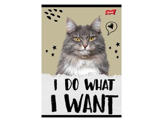 Notebook Unipap, Caturday, squared, A5, 32 sheets