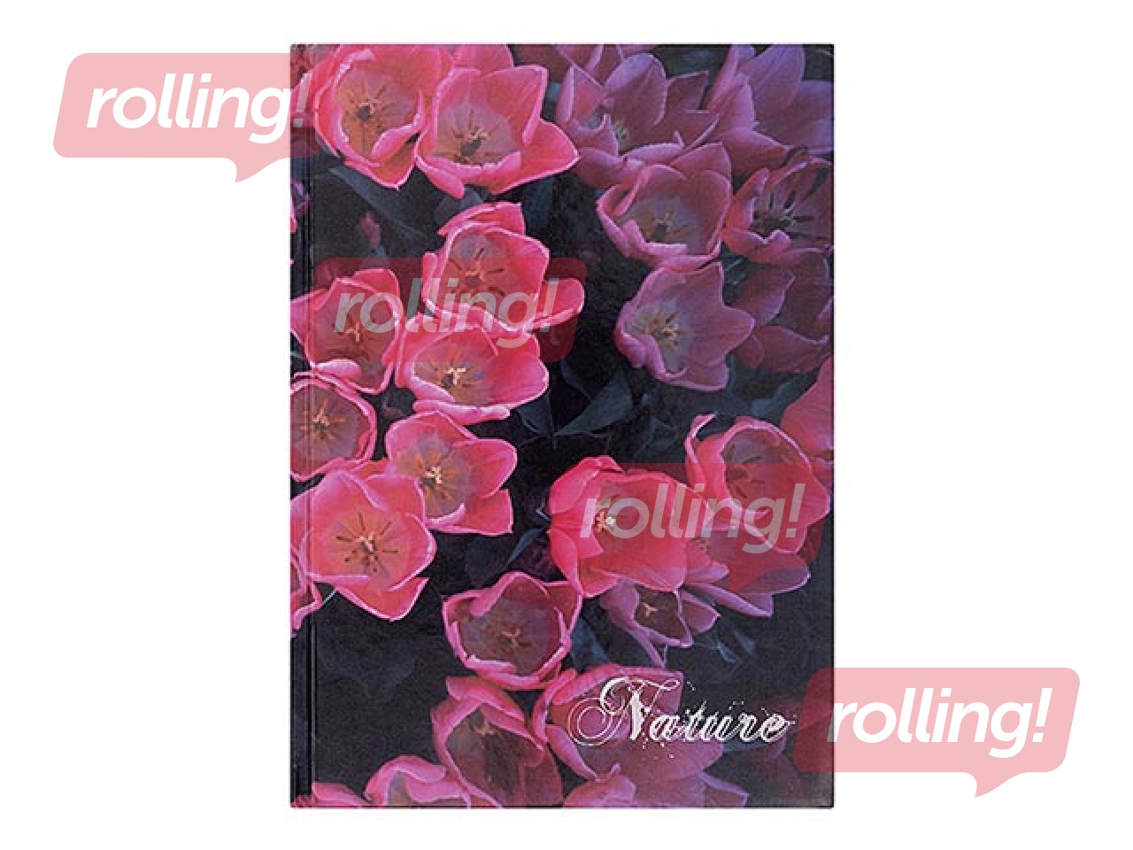 Notebook with rigid covers, A4, square ruled, various designs, 96 pages