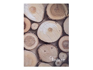 Notebook with rigid covers, A4, square ruled, various designs, 96 pages