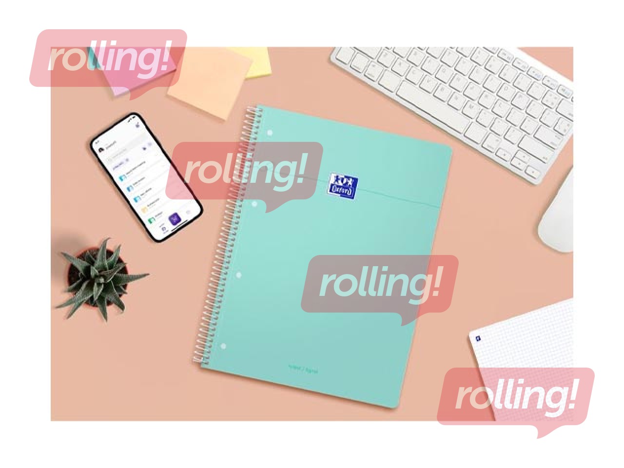 Notebook Oxford, A4+, ruled, 80 sheets, pastel