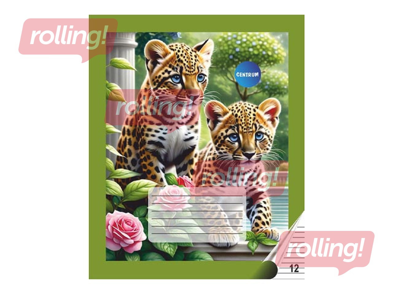 Burtnīca Centrum, līniju, 12 lapas