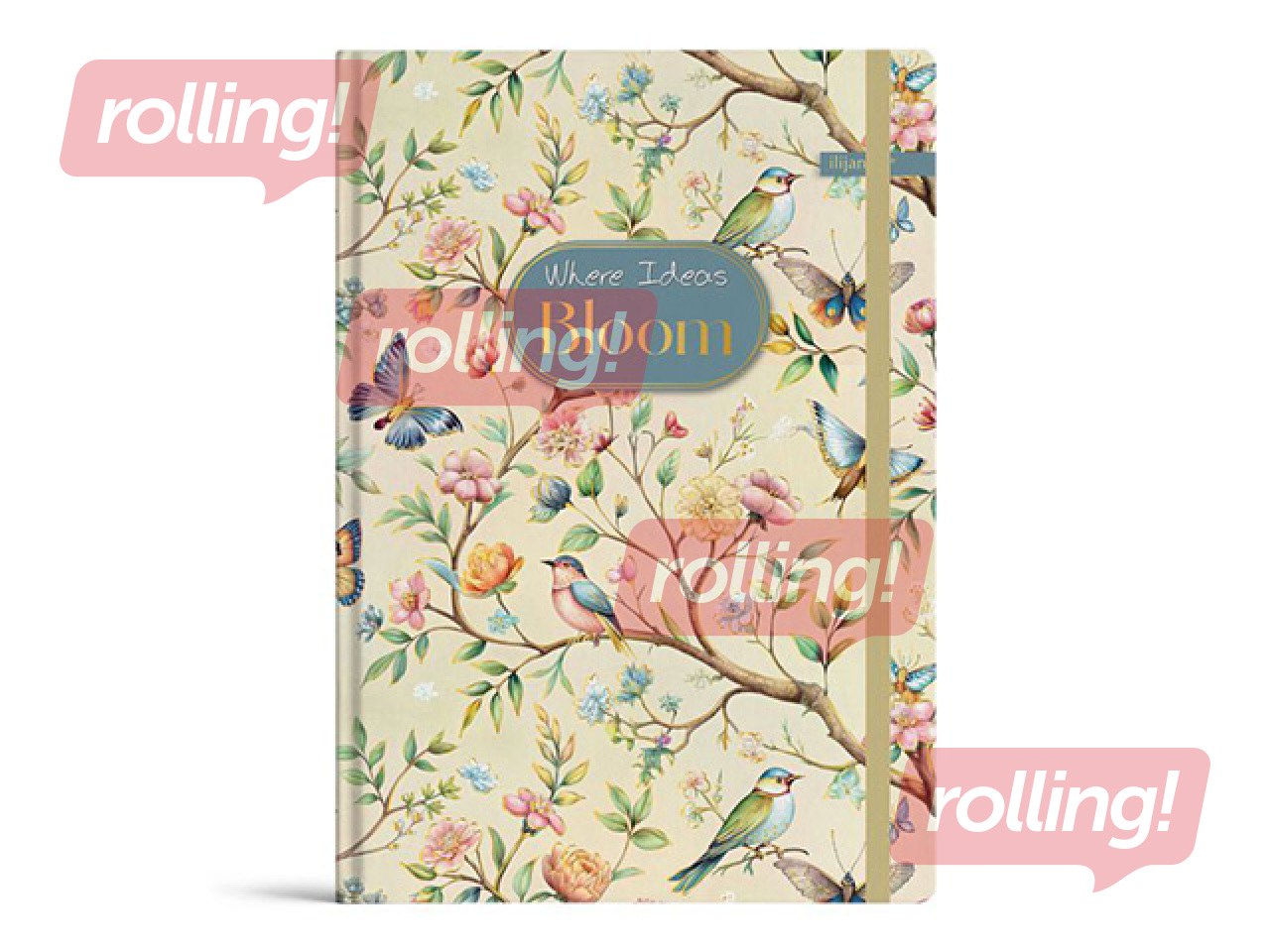 Märkmik kõvade kaantega Bloom, A5, 96 lehte, kummipaelaga