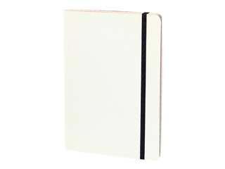Notebook BALTS Business, graph, white