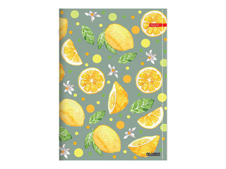 Notebook Centrum, Lemon, squared, A5, 52 sheets