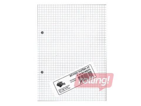 Papīrs iešūšanai ABC Jums, rūtiņu, A5, 100 loksnes