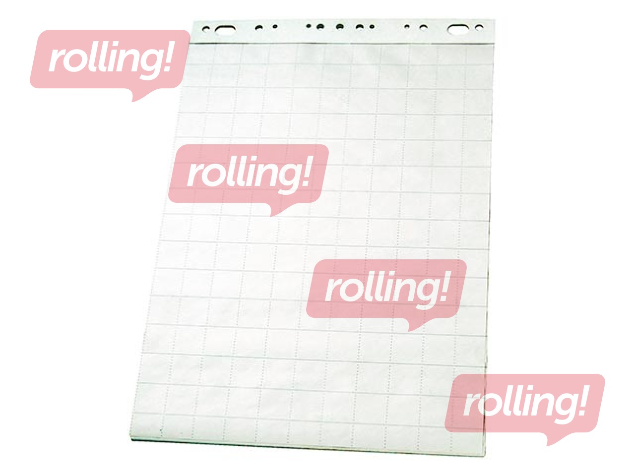 Papīra bloks Flipchart Esselte, rūtiņu, 60x85cm, 50 lapas