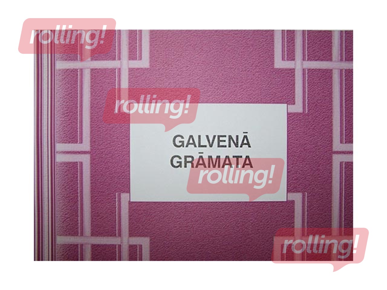 Galvenā grāmata (debets - kredīts) A4, 48 lapas