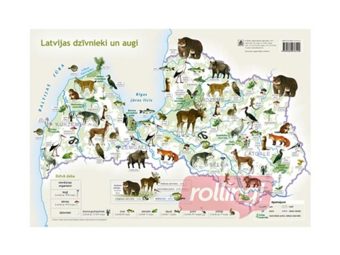 Latvijas dzīvnieki un augi. Pasaules dzīvnieki A3 formātā