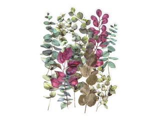 Stickers Galeria Papieru Barberries