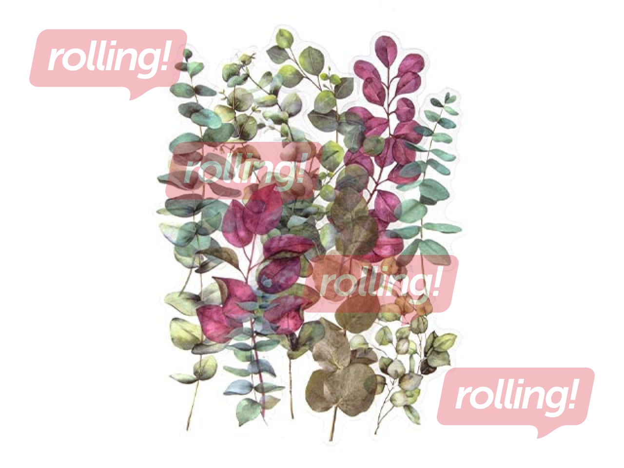 Uzlīmes Galeria Papieru Barberries