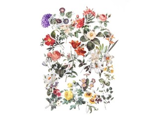 Наклейки Galeria Papieru Summer Garden