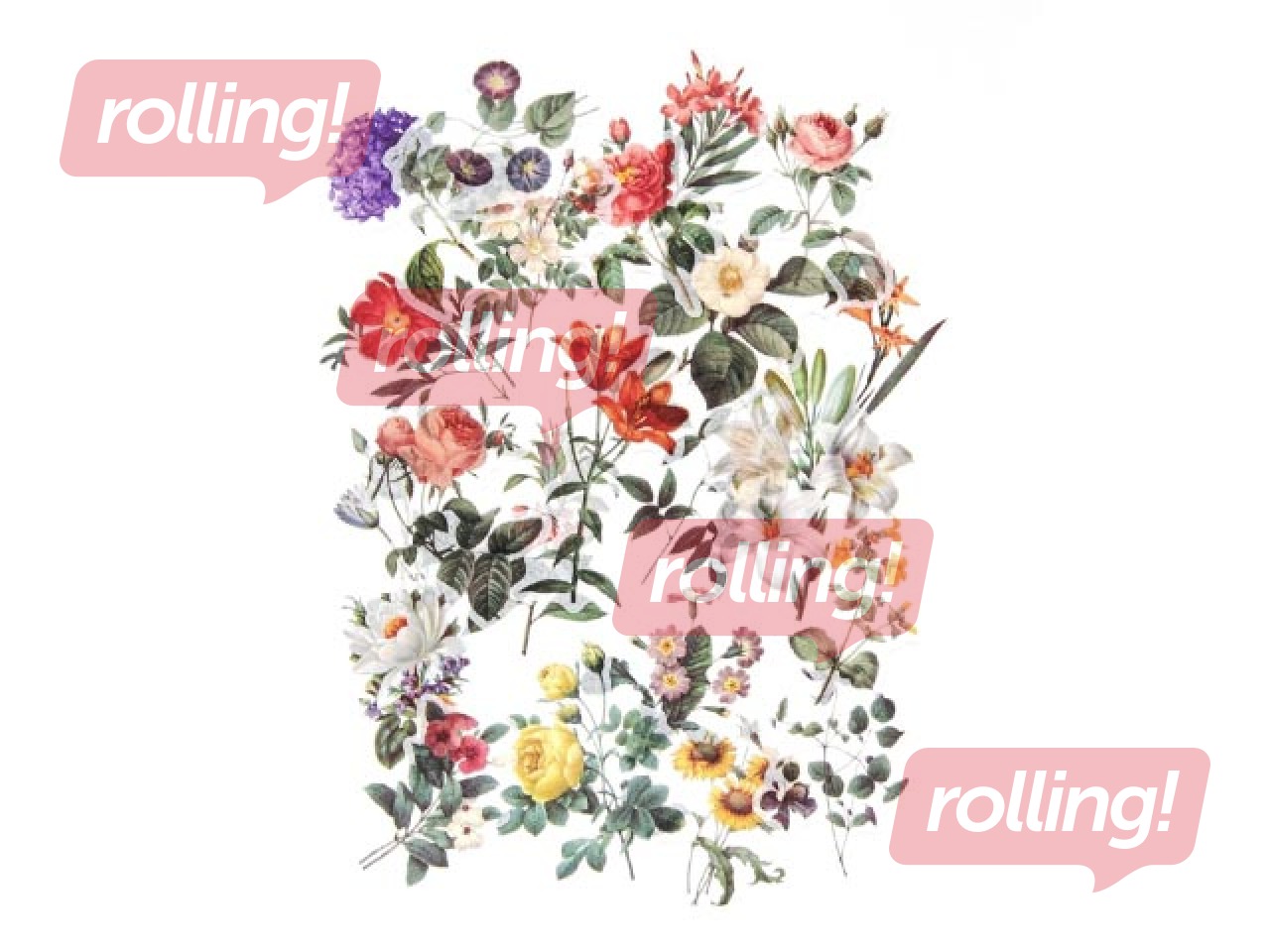 Uzlīmes Galeria Papieru Summer Garden